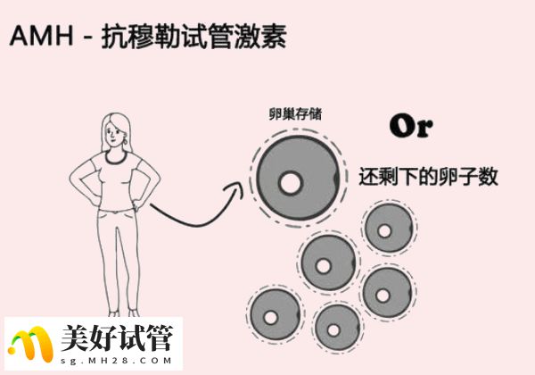 amh正常值是2-7ng/ml