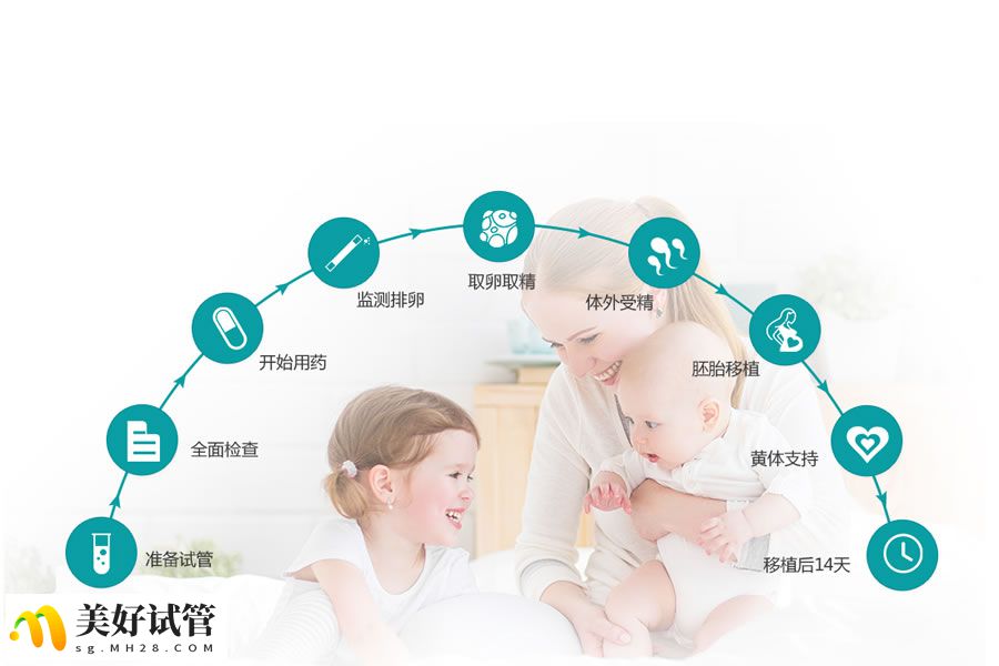 第四代试管婴儿