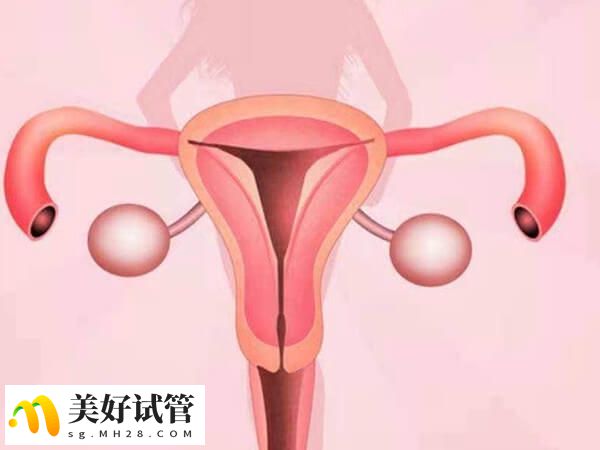 子宫内膜癌明显症状有哪些