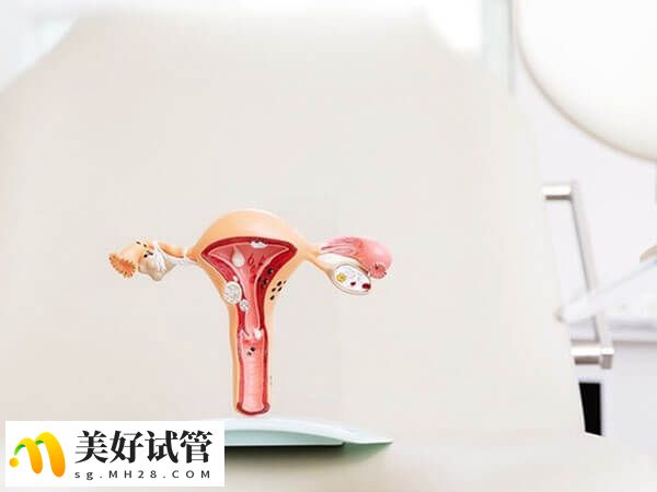 子宫内膜病变有何征兆