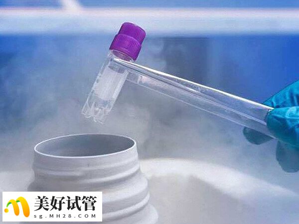 怎么提高试管成功率