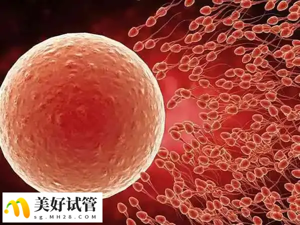 促排期间作息要规律