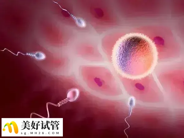 胚胎着床过程中可能会有少量出血