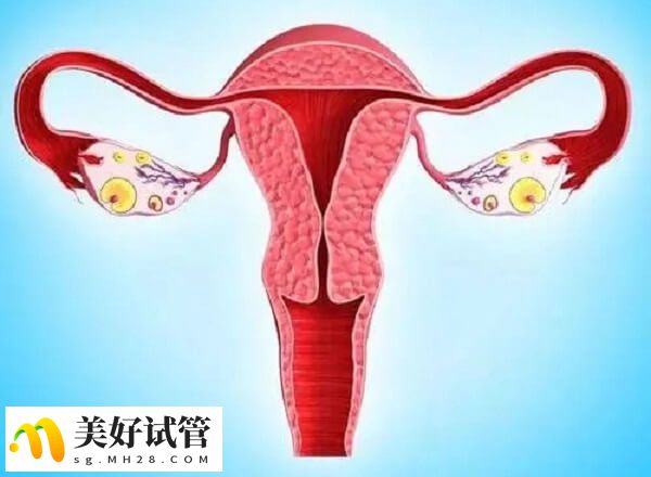 卵巢功能不好可能会影响生育