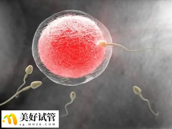 促排卵少要遵医嘱治疗