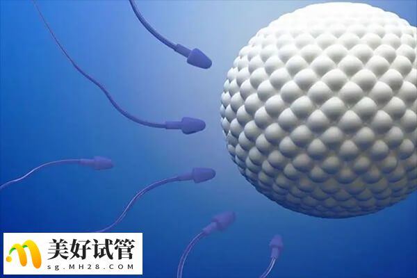 男性不育检查项目多