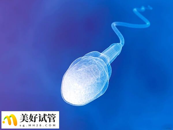 非梗阻性无精症会影响生育能力