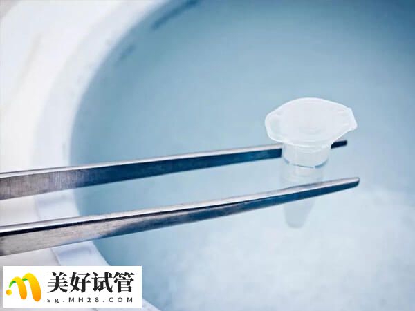 无精症患者的试管婴儿成功率约为30%-40%