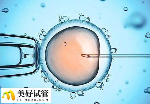 D5囊胚冻融移植后的临床妊娠率比较高