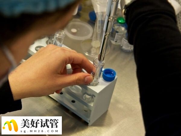 取卵数量对试管婴儿有一定的影响