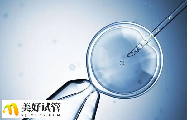 鲜胚是在培养皿内培养三天的胚胎