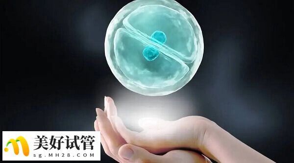 冻胚是放到-196℃的液氮中冷冻起来了