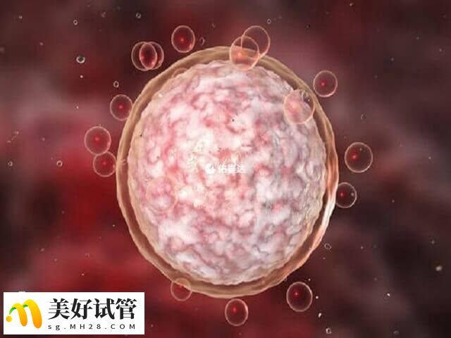 三代试管生男孩的几率能达到30%-40%