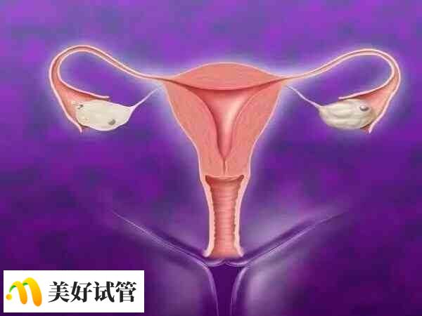 适合胚胎移植的子宫内膜形态为A型或B型