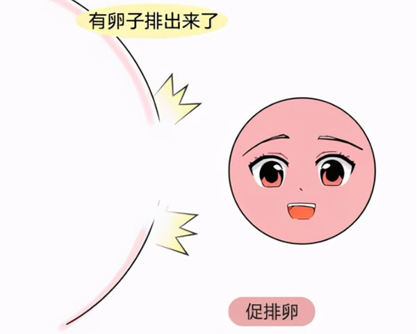 好试管 好试管