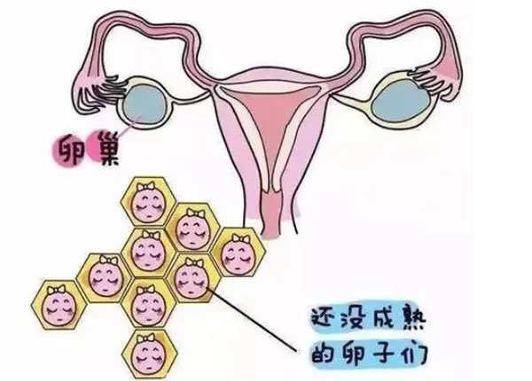 好试管 好试管