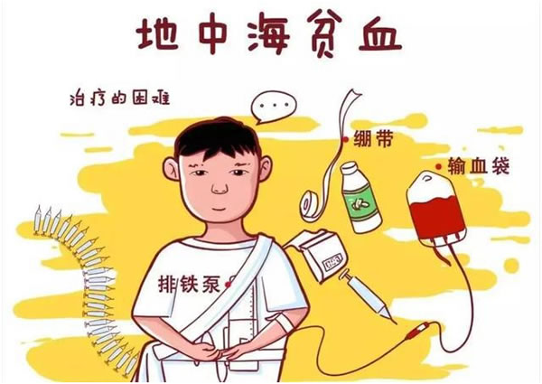 好试管 好试管